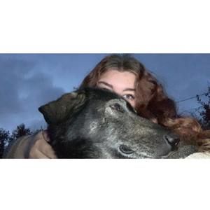 Meet your Posher, Taryn